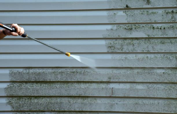 Mold Removal Process in Mineola, TX